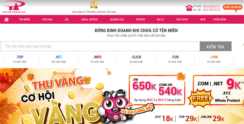 Nhà cung cấp tên miền P.A Việt Nam