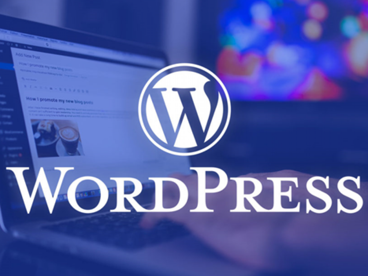 hướng dẫn quản trị website chỉ với 5 bước