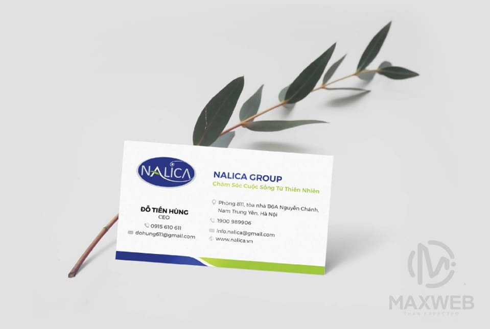 Card visit CEO Nalica Group