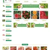 Website thực phẩm TP002