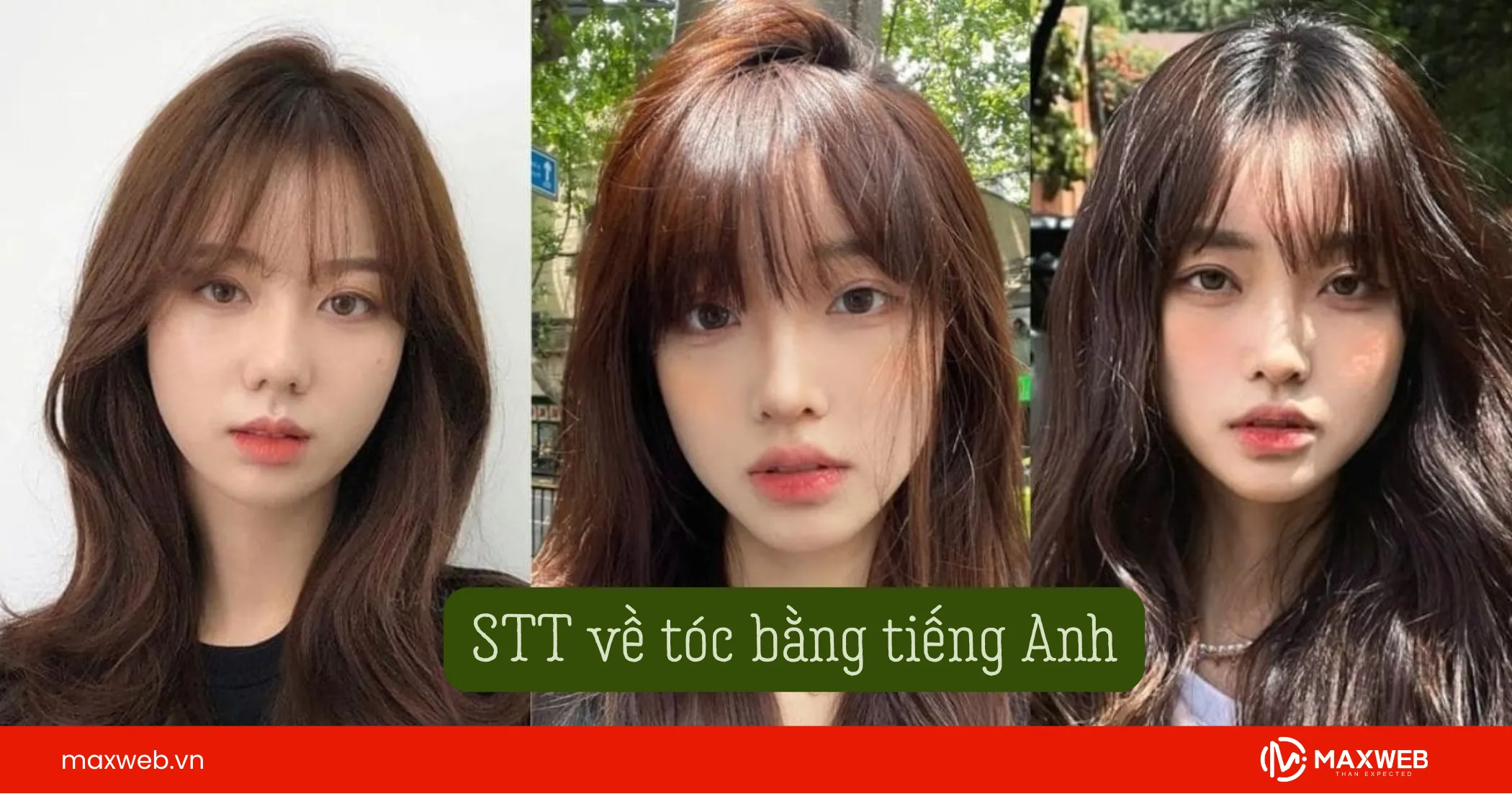 STT về tóc bằng tiếng Anh kèm bản dịch