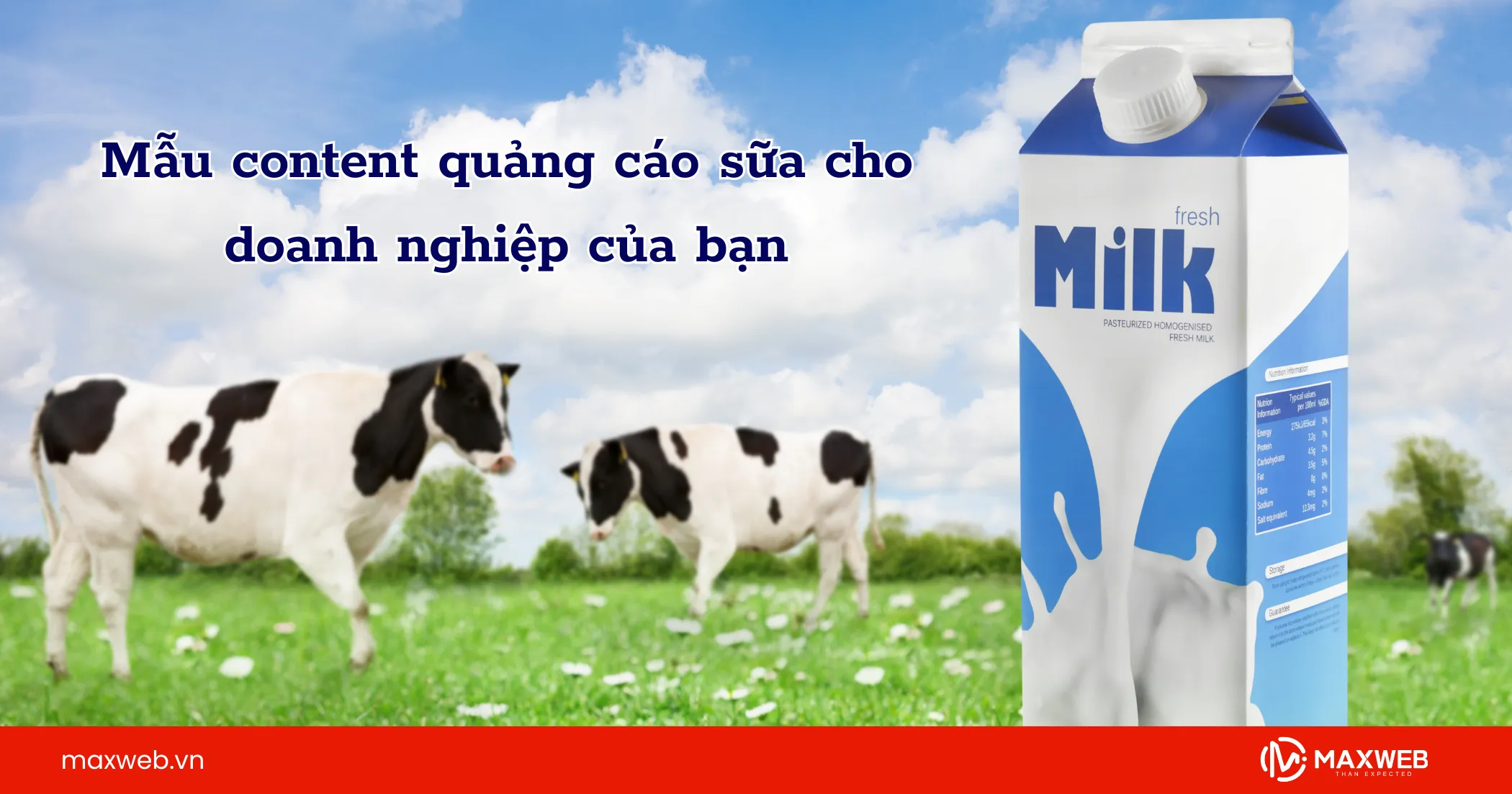 Những content quảng cáo sữa cho doanh nghiệp của bạn