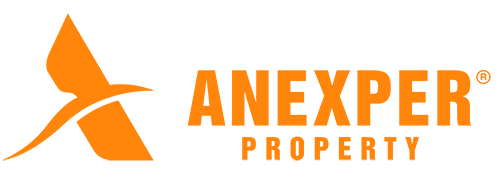 Thiết kế website Anexper